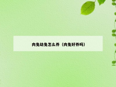 肉兔幼兔怎么养（肉兔好养吗）