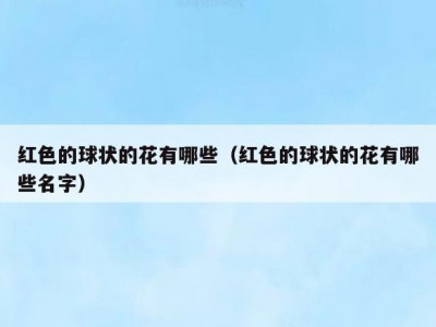 红色的球状的花有哪些（红色的球状的花有哪些名字）