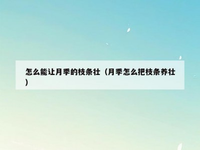 怎么能让月季的枝条壮（月季怎么把枝条养壮）