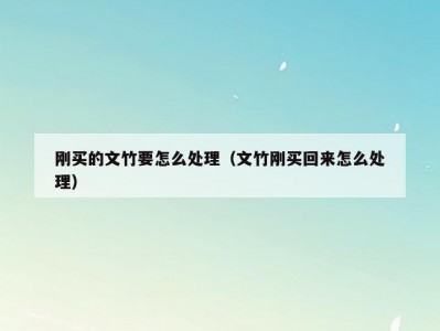 刚买的文竹要怎么处理（文竹刚买回来怎么处理）