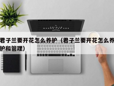 君子兰要开花怎么养护（君子兰要开花怎么养护和管理）