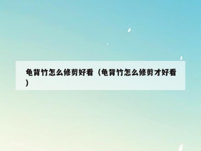 龟背竹怎么修剪好看（龟背竹怎么修剪才好看）