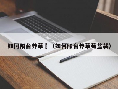 如何阳台养草苺（如何阳台养草莓盆栽）