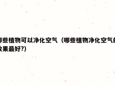 哪些植物可以净化空气（哪些植物净化空气的效果最好?）