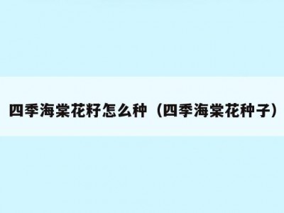 四季海棠花籽怎么种（四季海棠花种子）