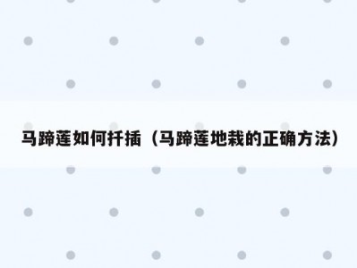 马蹄莲如何扦插（马蹄莲地栽的正确方法）