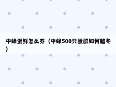 中蜂蛋鲜怎么养（中蜂500只蛋群如何越冬）