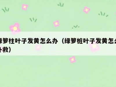 绿箩柱叶子发黄怎么办（绿箩桩叶子发黄怎么补救）