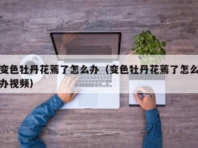 变色牡丹花蔫了怎么办（变色牡丹花蔫了怎么办视频）