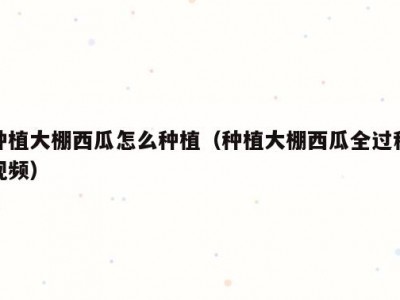 种植大棚西瓜怎么种植（种植大棚西瓜全过程视频）
