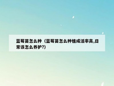 蓝莓苗怎么种（蓝莓苗怎么种植成活率高,日常该怎么养护?）