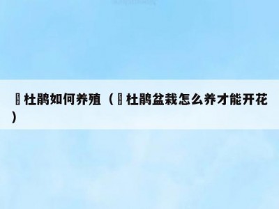 簕杜鹃如何养殖（簕杜鹃盆栽怎么养才能开花）