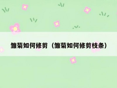 雏菊如何修剪（雏菊如何修剪枝条）