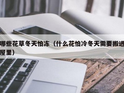 哪些花草冬天怕冻（什么花怕冷冬天需要搬进屋里）