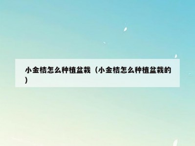 小金桔怎么种植盆栽（小金桔怎么种植盆栽的）