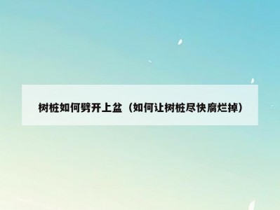 树桩如何劈开上盆（如何让树桩尽快腐烂掉）