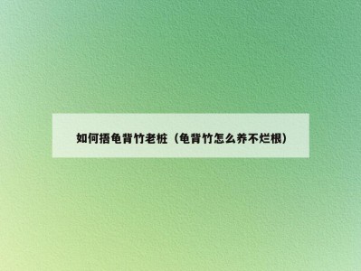 如何捂龟背竹老桩（龟背竹怎么养不烂根）