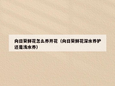 向日葵鲜花怎么养开花（向日葵鲜花深水养护还是浅水养）