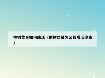 榆树盆景如何栽活（榆树盆景怎么栽成活率高）