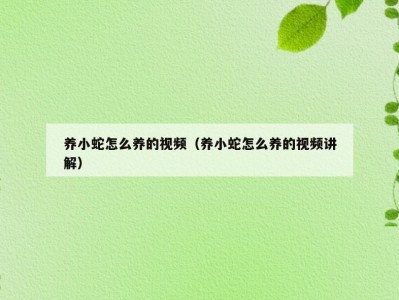 养小蛇怎么养的视频（养小蛇怎么养的视频讲解）