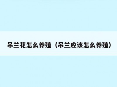 吊兰花怎么养殖（吊兰应该怎么养殖）