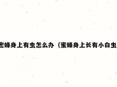 密蜂身上有虫怎么办（蜜蜂身上长有小白虫）