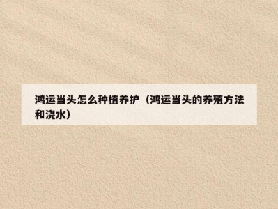 鸿运当头怎么种植养护（鸿运当头的养殖方法和浇水）