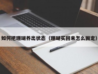如何把珊瑚养出状态（珊瑚买回来怎么固定）