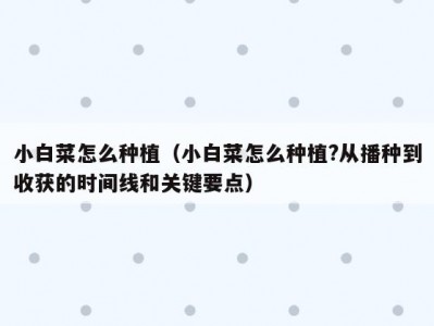 小白菜怎么种植（小白菜怎么种植?从播种到收获的时间线和关键要点）