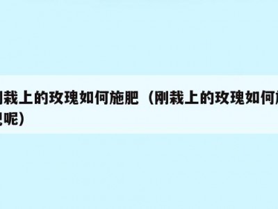 刚栽上的玫瑰如何施肥（刚栽上的玫瑰如何施肥呢）