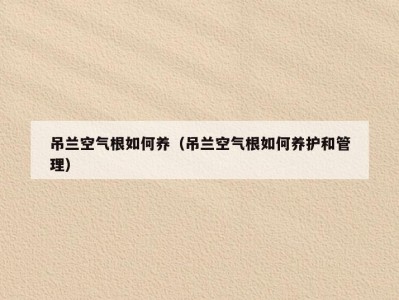 吊兰空气根如何养（吊兰空气根如何养护和管理）