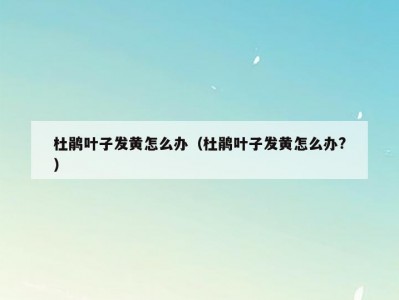 杜鹃叶子发黄怎么办（杜鹃叶子发黄怎么办?）