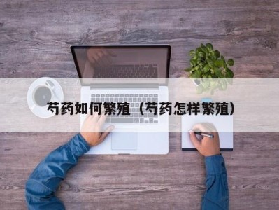 芍药如何繁殖（芍药怎样繁殖）