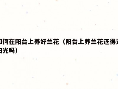 如何在阳台上养好兰花（阳台上养兰花还得遮阳光吗）