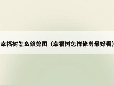 幸福树怎么修剪图（幸福树怎样修剪最好看）