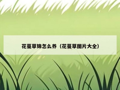 花蔓草锦怎么养（花蔓草图片大全）
