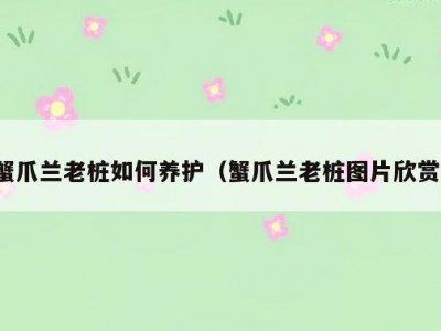 蟹爪兰老桩如何养护（蟹爪兰老桩图片欣赏）