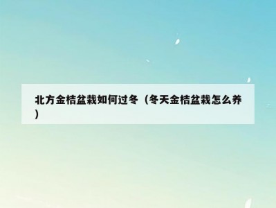北方金桔盆栽如何过冬（冬天金桔盆栽怎么养）