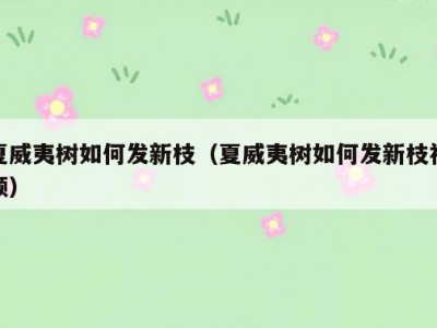 夏威夷树如何发新枝（夏威夷树如何发新枝视频）