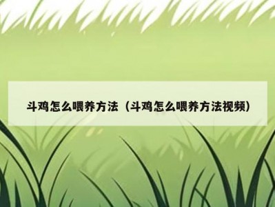 斗鸡怎么喂养方法（斗鸡怎么喂养方法视频）