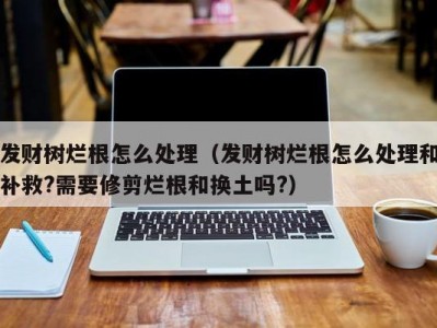 发财树烂根怎么处理（发财树烂根怎么处理和补救?需要修剪烂根和换土吗?）