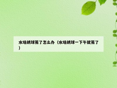 水培绣球蔫了怎么办（水培绣球一下午就蔫了）