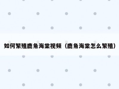 如何繁殖鹿角海棠视频（鹿角海棠怎么繁殖）
