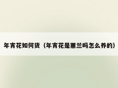 年宵花如何货（年宵花是蕙兰吗怎么养的）