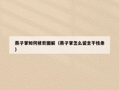 燕子掌如何修剪图解（燕子掌怎么留主干枝条）
