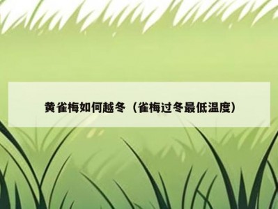 黄雀梅如何越冬（雀梅过冬最低温度）