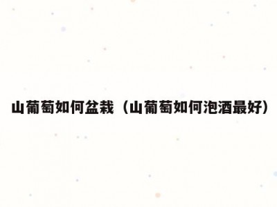 山葡萄如何盆栽（山葡萄如何泡酒最好）
