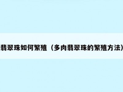 翡翠珠如何繁殖（多肉翡翠珠的繁殖方法）