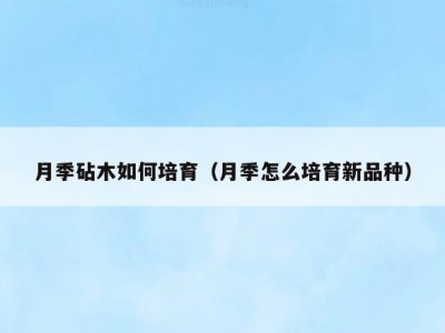 月季砧木如何培育（月季怎么培育新品种）