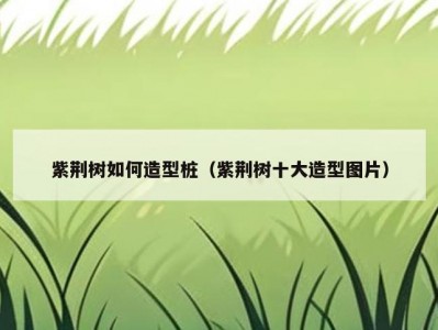 紫荆树如何造型桩（紫荆树十大造型图片）